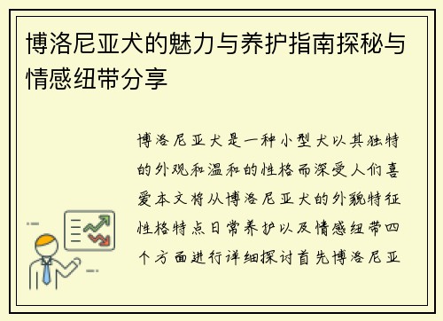 博洛尼亚犬的魅力与养护指南探秘与情感纽带分享