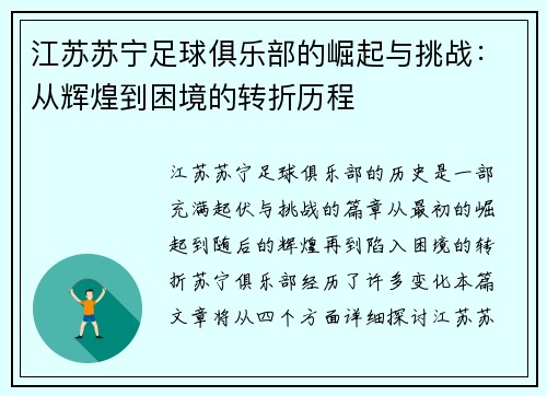 江苏苏宁足球俱乐部的崛起与挑战：从辉煌到困境的转折历程